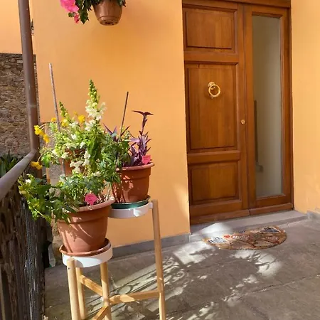 La Corte